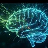 神经形态计算：模拟大脑的下一代AI芯片——下一个十年的竞争制高点